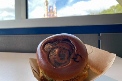 REVIEW – Heat Things Up With Two Seasonal Items at Magic Kingdom