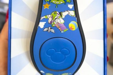 Photos! The NEW Dooney & Bourke MagicBand in Disney World Is the Cat’s Meow!