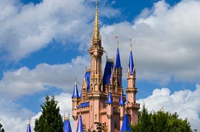 Got Questions About Disney World’s New Park Hopping Process? We’ve Got Answers!
