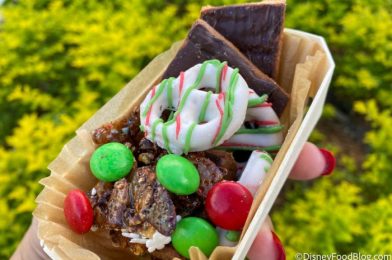 REVIEW: This Holiday Snack at Disney Springs Has Gorgeous LAYERS of Flavor!
