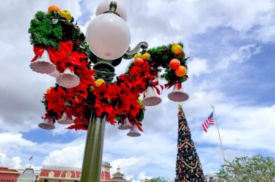PHOTOS! The Tree Is Up at Disney’s Grand Floridian Resort