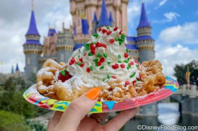 Review! Mini Churros Get Another Holiday Makeover in Disney World