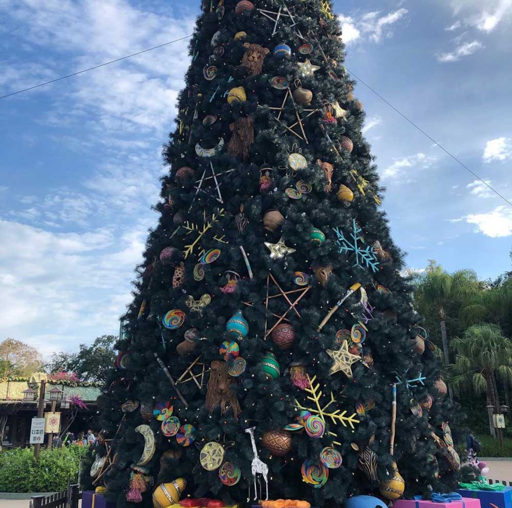 DISNEY PARK PICS: Animal Kingdom at Christmas - Disney by Mark