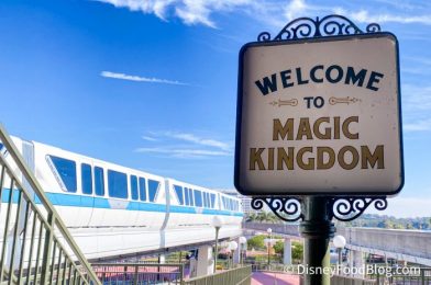 What’s New at Magic Kingdom: Princess Pins, Sorcerers of the Magic Kingdom Closes, and a Park Map Update