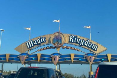 2 Fan-Favorite Magic Kingdom Attractions Have NEW Souvenirs!