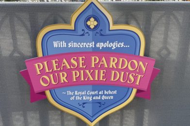PHOTO REPORT: Magic Kingdom 2/26/21 (Signs, Construction, Popsockets, MagicBands, and Springtime)