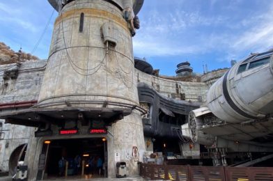 There’s Been a Change in Procedure for Millennium Falcon: Smuggler’s Run