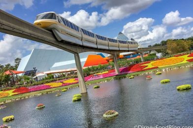 A MONORAIL Clothing Collection Exists in Disney World, and You Have to See It