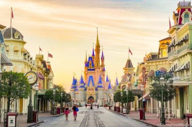 Main Street Confectionery Is Getting a NEW Look and More in Disney World