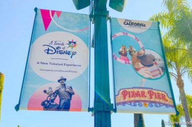 PHOTOS & VIDEOS: We’re LIVE From ‘A Touch of Disney’ at Disney California Adventure!
