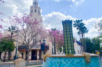 Our Day in Disney California Adventure: The Park Prepares for Opening, NEW EARS, and More!