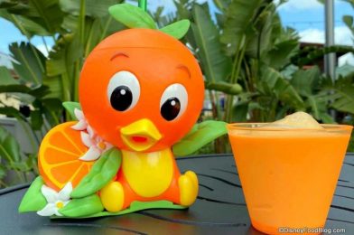 An Orange Bird Magnet Will Soon Be Sent to Disney World Passholders!