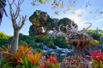 24,000 Disney Fans Ranked EVERY Ride in Animal Kingdom!