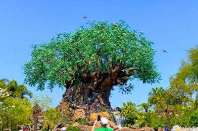PHOTOS: Can You Guess Today’s Hidden Disney World Spot?!