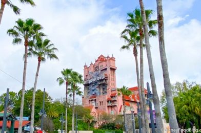 Our Day in Hollywood Studios: Celebrity Autographs and BYO Chili Cheese Fries!