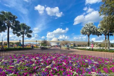 What’s New at EPCOT: Spring Break Crowds Arrive and TONS and TONS of New Drinks!
