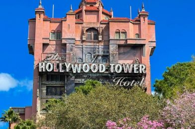 PHOTOS: Disney’s Hollywood Studios Has a NEW Park Map!