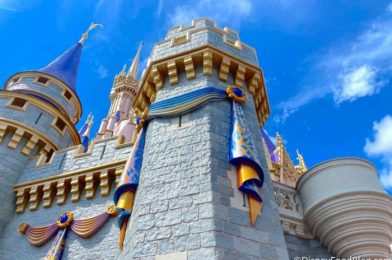 The Plot Thickens! The Mystery of the Cinderella Castle Construction Continues in Disney World