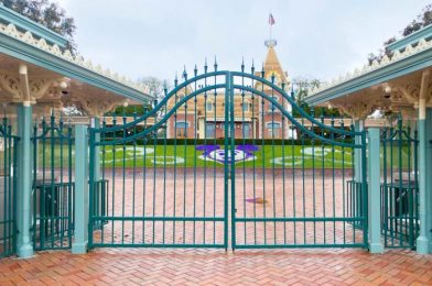 Here’s Who Will Get to Visit a Reopened Disneyland FIRST