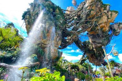 PHOTOS: Is Animal Kingdom’s Longest Wait Time Finally Going to Get Shorter?!