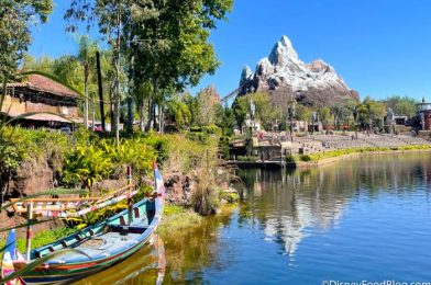 Book Fast! Some Hard-to-Get Disney World Park Pass Reservations JUST Opened Up!