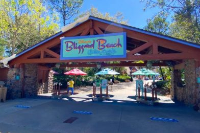 No Hours Shown for Disney’s Blizzard Beach Water Park This Friday