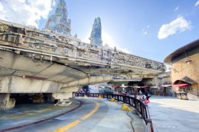 Hold Up. Did We Just Upgrade Our Own Star Wars: Galaxy’s Edge Milk Hack in Disney World?