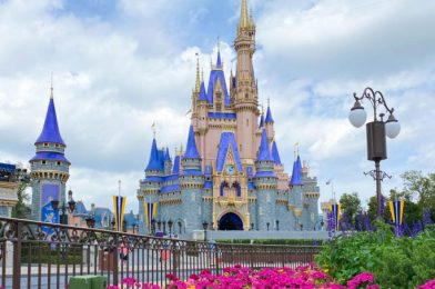Florida Residents Have ONE WEEK Left To Grab DISCOUNTED Disney World Tickets!