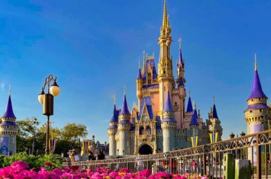What Does the Demand for the Disney Parks Look Like Now? CEO Comments.
