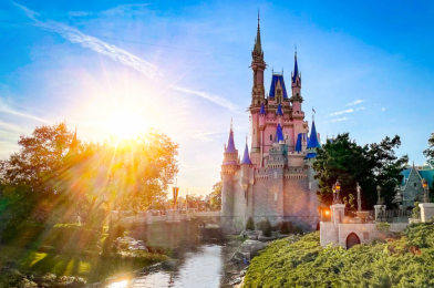 Disney World Lists SELECT HOTELS Which Fall Into One Park Pass Availability Group