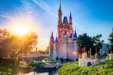 What’s New in Magic Kingdom: Cinderella Castle Updates and the Spring Roll Cart Is BACK!