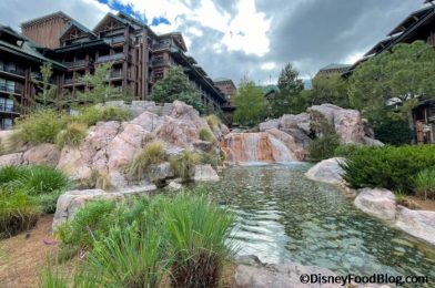 PHOTOS: Take a Peek Inside the Room of an Exclusive Disney Vacation Club Villa!