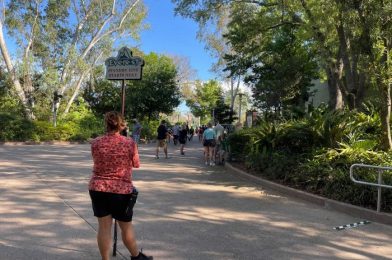 What It is Like To Visit Walt Disney World in Spring 2021