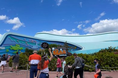 PHOTOS – What’s New at EPCOT Today: The Seas with Nemo and Friends, the EPCOT Experience, and Kakigori