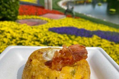 The Best Way to Spend $50 on Food at the 2021 EPCOT International Flower and Garden Festival