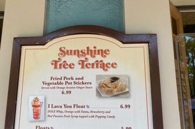 Snack or Meal, Potstickers at Magic Kingdom Are Just Right