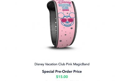 DVC MagicBands Available for Pre-Arrival Order