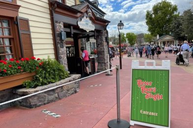 PHOTOS – At Magic Kingdom Today: New Ride Procedures, Yummy Treats, Orange Bird Mural, and More!