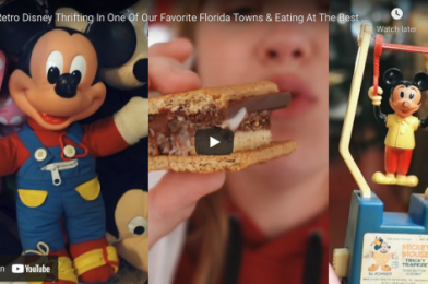 3 THINGS TO SEE OUTSIDE OF THE ORLANDO THEME PARKS