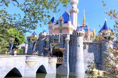 NEWS: Disneyland to Use Theme Park Reservation System Upon Reopening