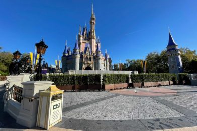 PHOTOS: Weather Proofing Added to Cinderella Castle Stage During Refurbishment at Magic Kingdom