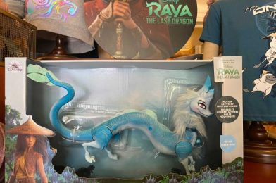 A Look at Raya Merchandise at Walt Disney World