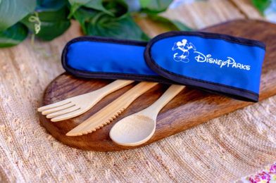 FIRST LOOK: Reusable Bamboo Utensils Coming to Disney Parks