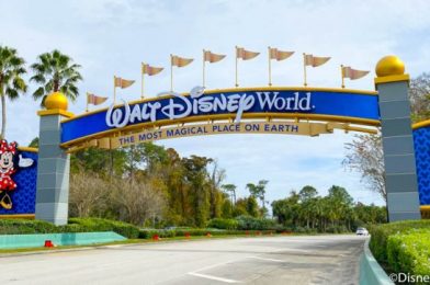 The ULTIMATE Property Listing for Disney World Fans