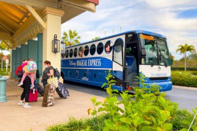 NEWS: New Transportation Service Will Replace Disney’s Magical Express