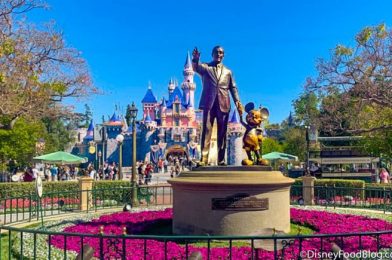 What’s New in Disneyland Resort: Birthday Cake Churros, a Monte Cristo Update, and More