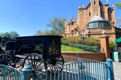 VIDEO: The Hidden Haunted Mansion Secret You’ve Probably NEVER Noticed in Disney World!