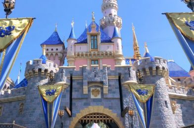 What It’s Like to Ride an Attraction in Disneyland With Current Restrictions