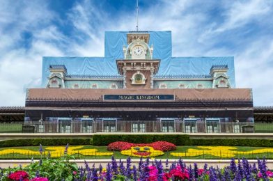 Disney World Is Making Changes to Rides, Hotels, and More — Get All the Details Here!