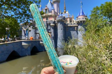 REVIEW: New Birthday Cake Celebration Churro is a Sweet Way to Mark the Reopening of Disneyland